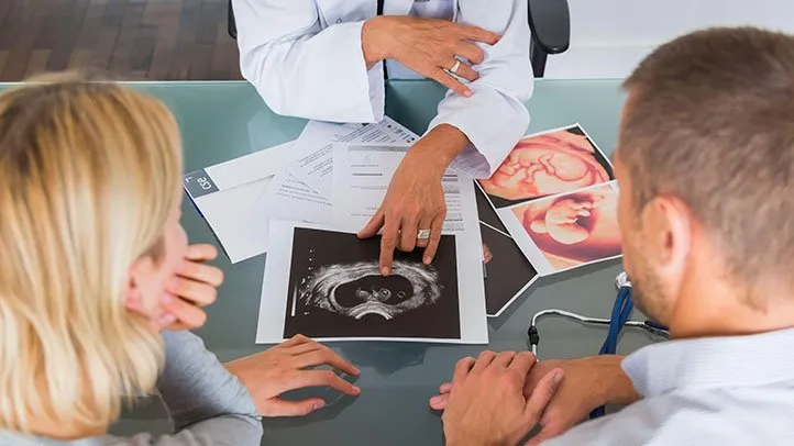 first trimester guide