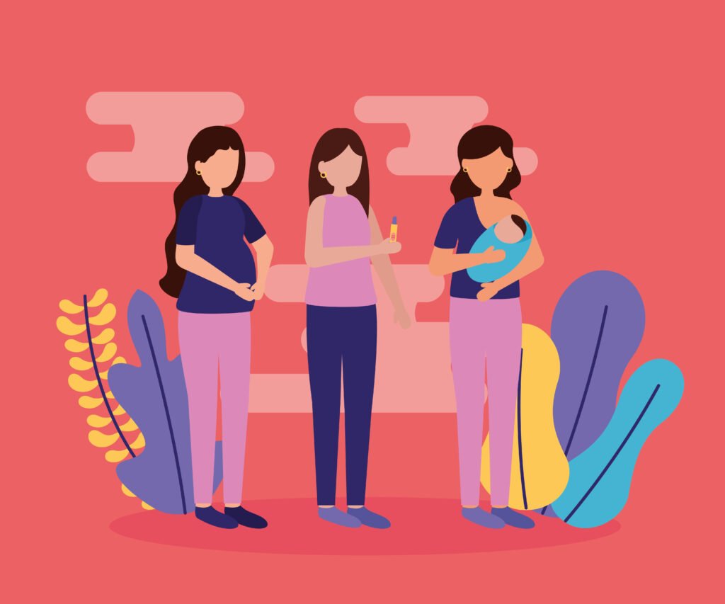 second trimester pregnancy