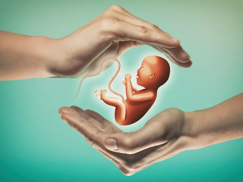 fertility myths