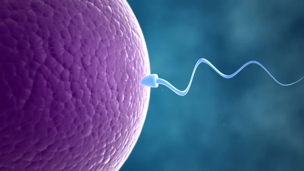 when to see a fertility doctor