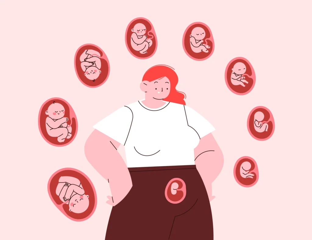 second trimester pregnancy