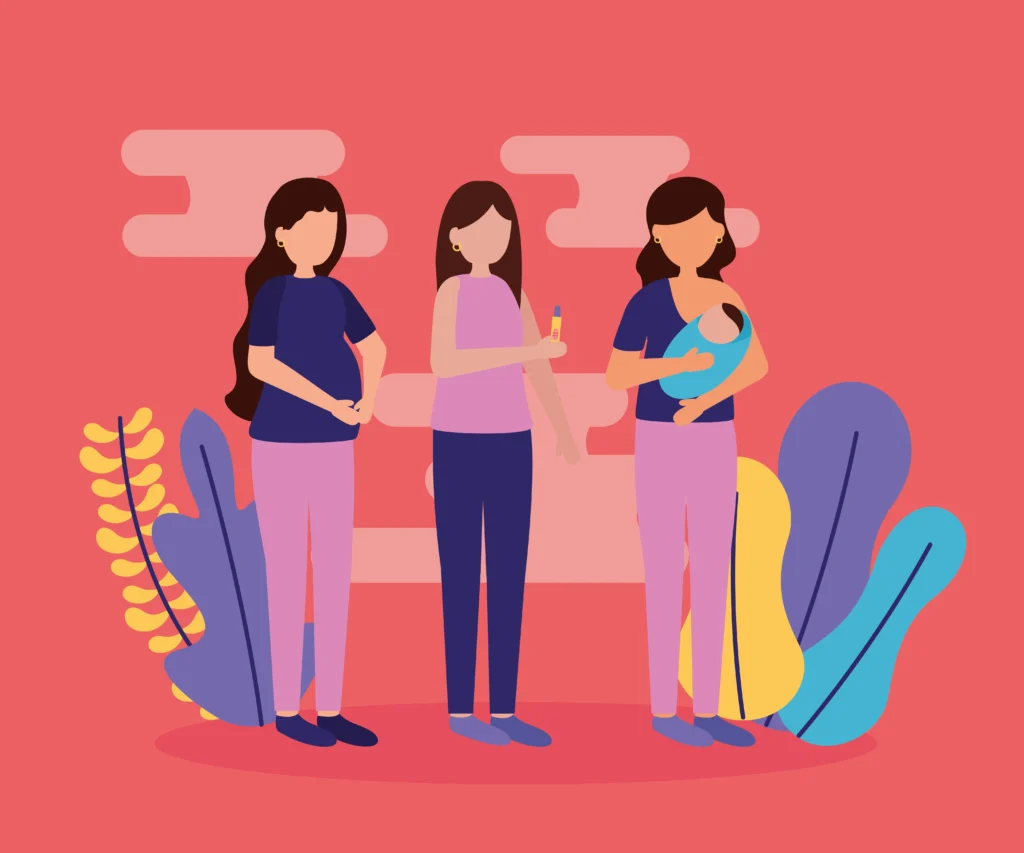 second trimester pregnancy