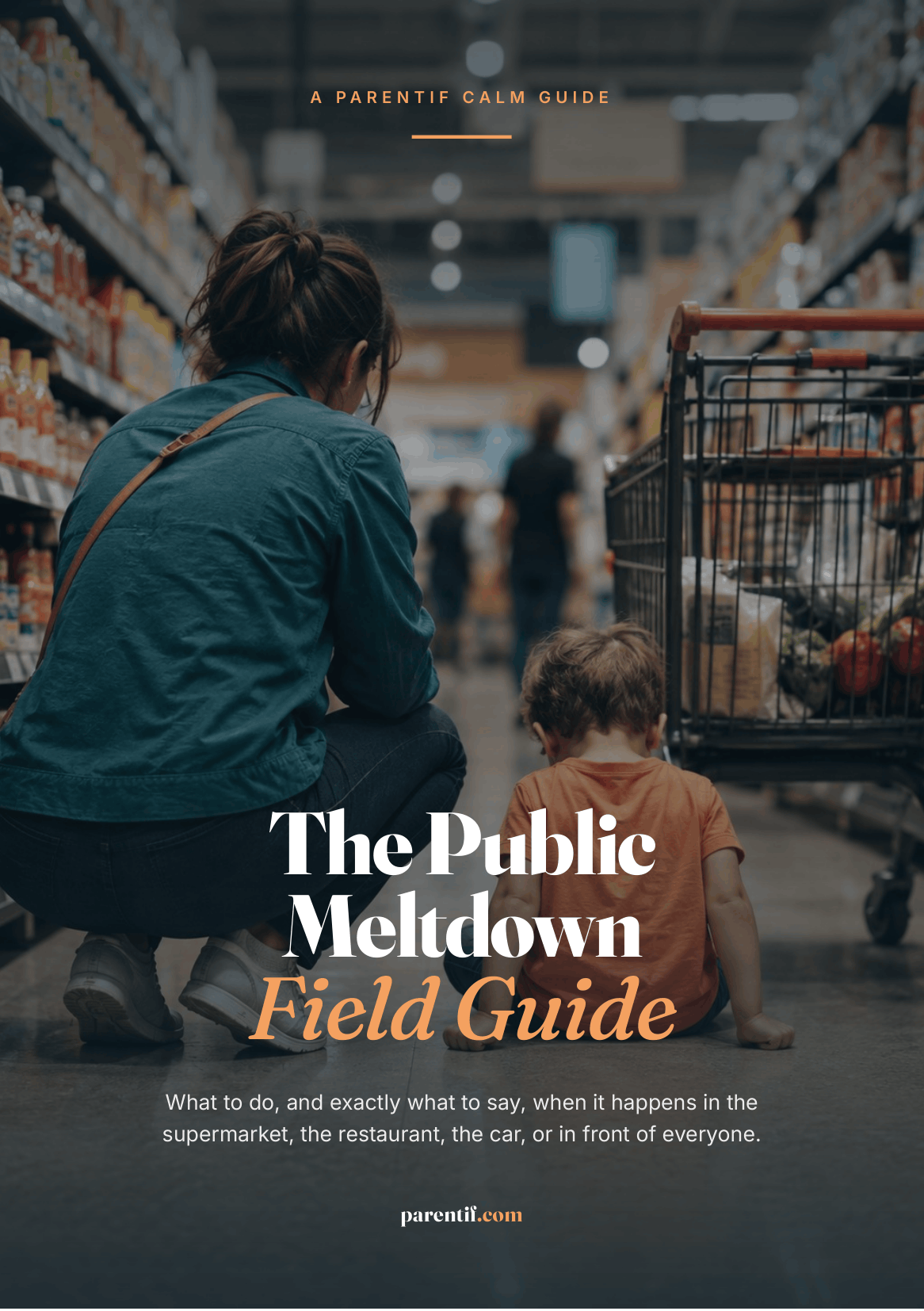 The Public Meltdown Field Guide — cover