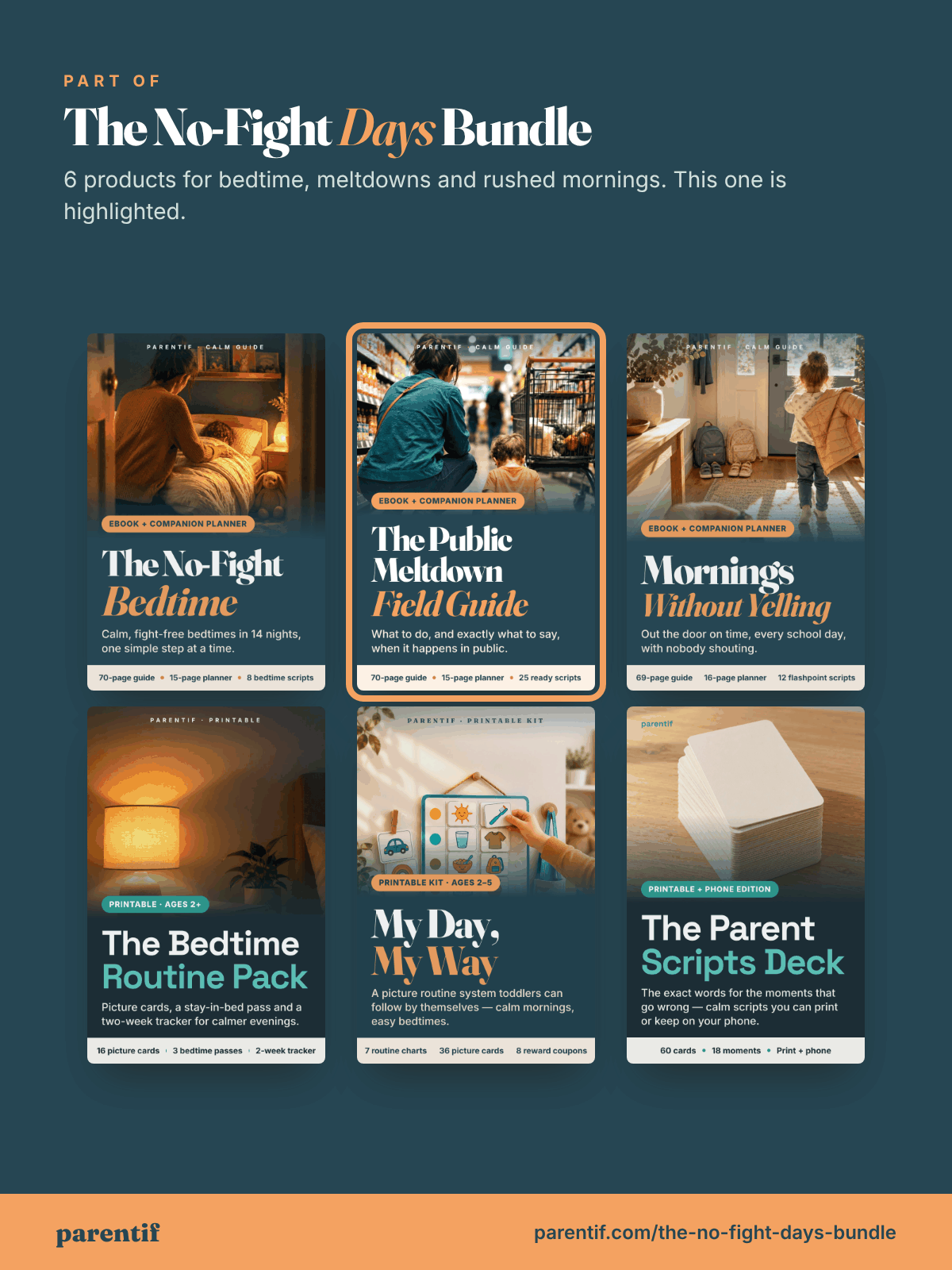 The Public Meltdown Field Guide — inside page 6